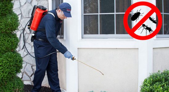 Hazro Dezenfeksiyon böcek ilaçlama ve haşere kontrolü — ilaclama-tr.com